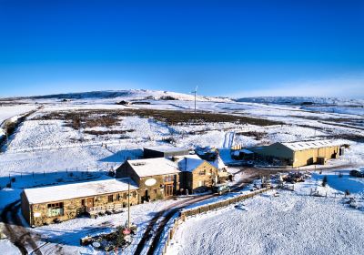 The Wellbeing Farm