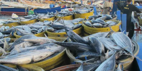 General Santos City Fish Port Complex