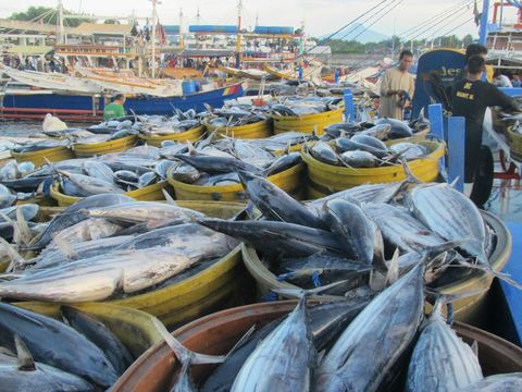 General Santos City Fish Port Complex
