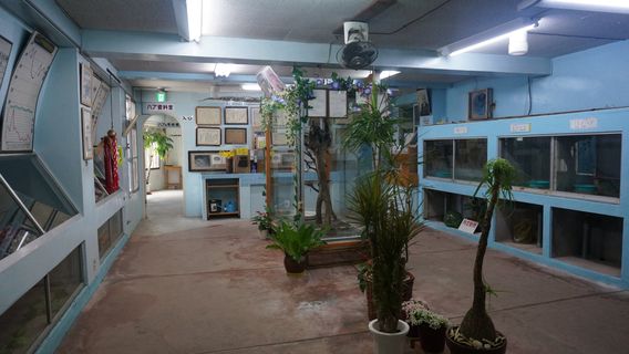 Amami Habu Tourism Center
