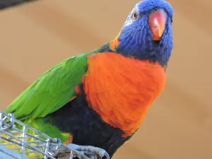 Bunbury Wildlife Park