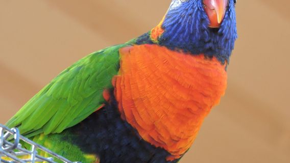 Bunbury Wildlife Park