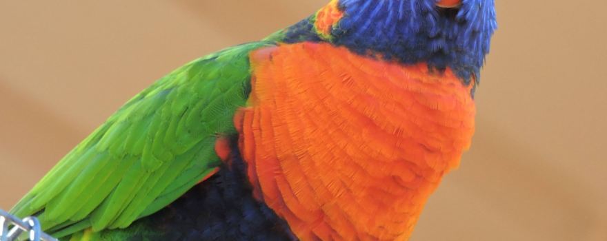 Bunbury Wildlife Park