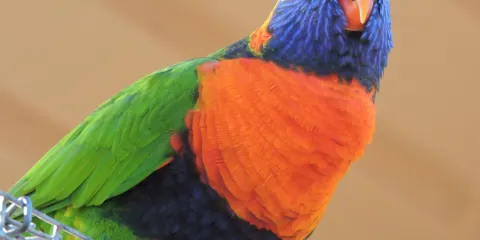 Bunbury Wildlife Park