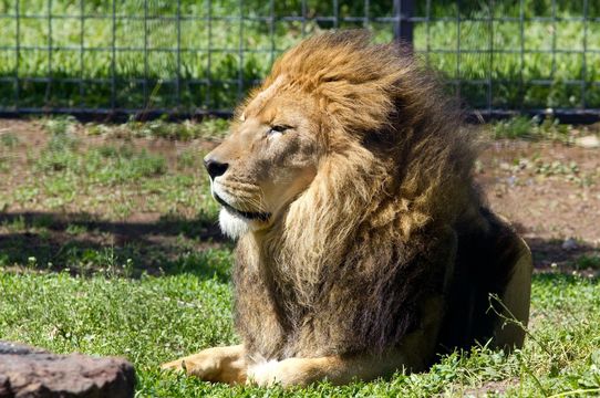 Rolling Hills Zoo