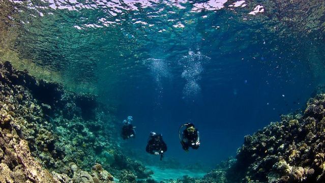 Dahab Divers Lodge - Padi 5* dive centre Dahab