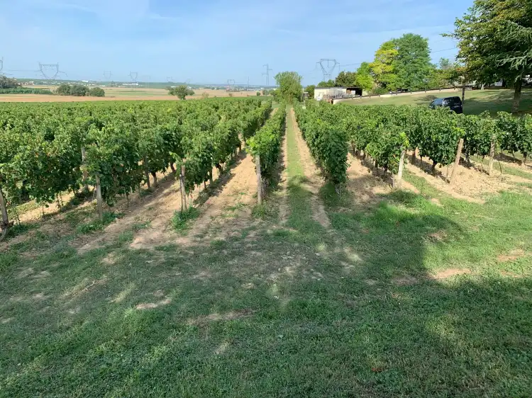 Hotels in Souzay-Champigny