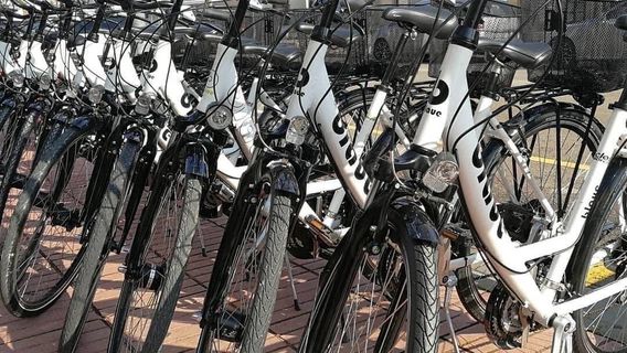 Ciclos Mora Rent a bike Specialized, Scott & Bianchi