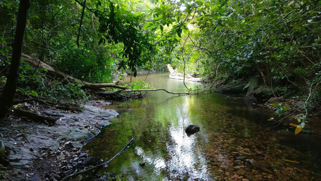 Khlong Chak Waterfall