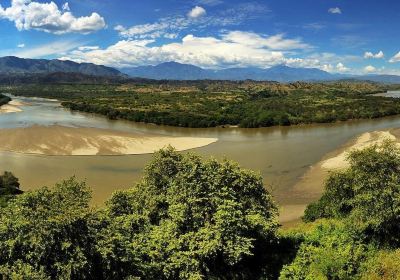 Yaguara