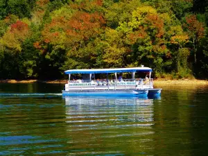 Wheeler Lake Scenic Cruises