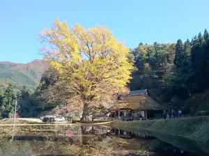 Kingenji
