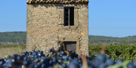 Domaine Terres Georges