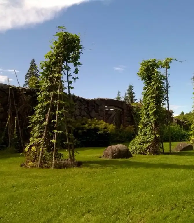 Mikkeli