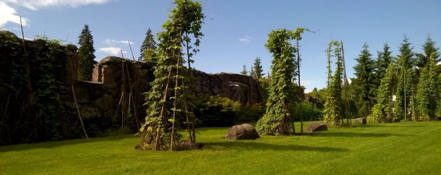 Mikkeli