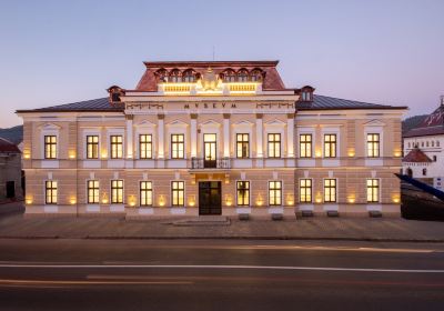 Câmpulung Moldovenesc