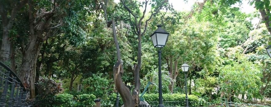 Huerto de las Flores