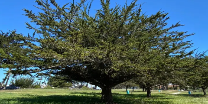 Locke-Paddon Wetlands Park