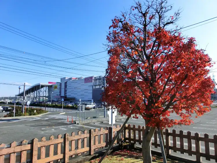 Các khách sạn ở Toin