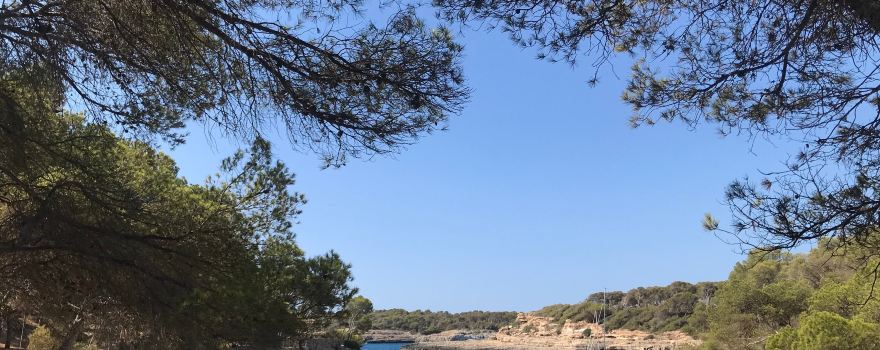 Spiaggia Mondragó