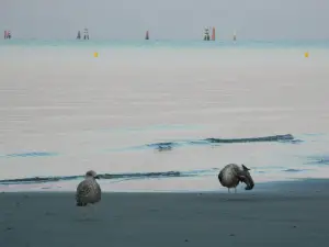 Costa Azzurra Beach