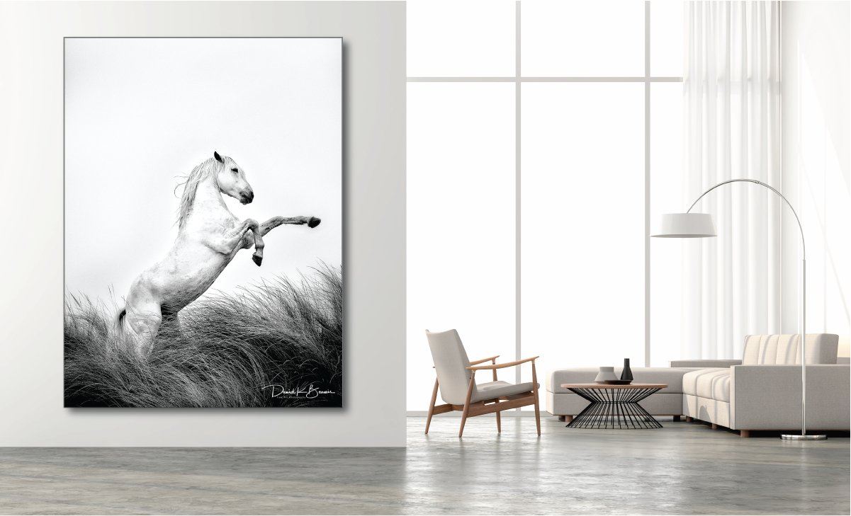 David Beavis Fine Art - Park City Utah