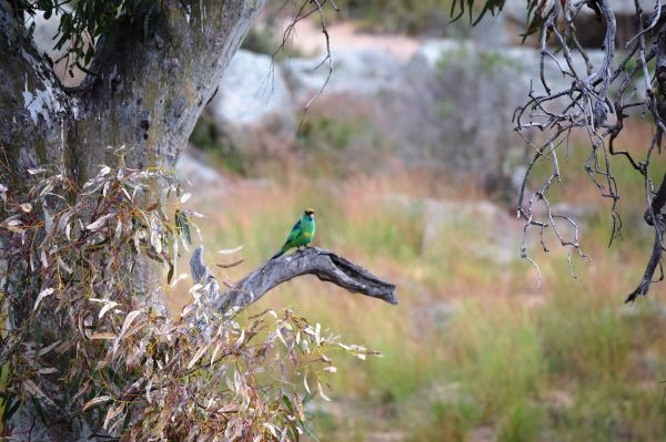 Mannum Waterfalls Upper Car Park