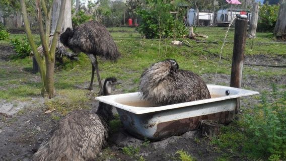 Rocklands Petting Farm