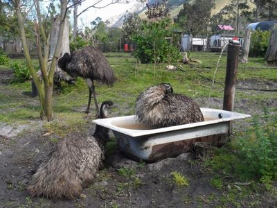 Rocklands Petting Farm