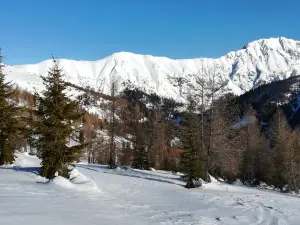 Golzentipp