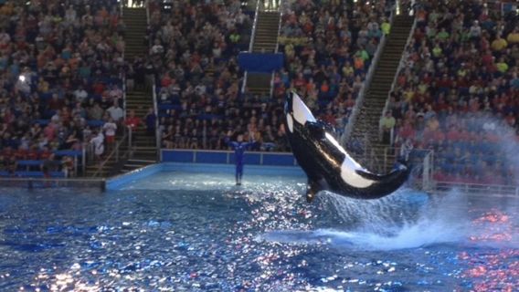 SEA LIFE San Antonio