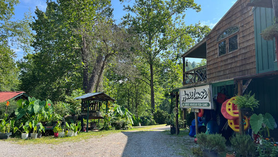 Great Smokey Mountain Fish Camp and Safaris