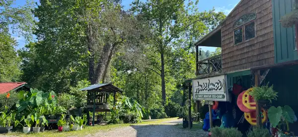 Hotels in Cowee