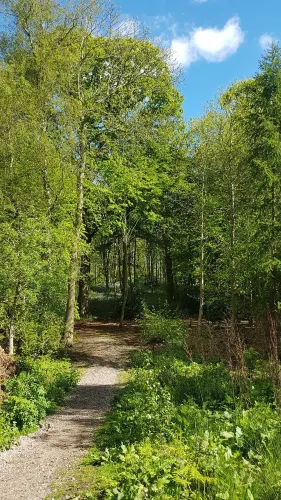 Sisland Carr