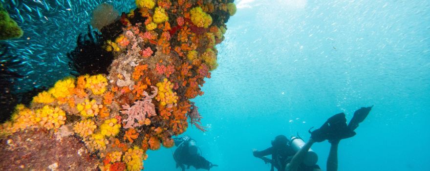 Blow Bubbles Divers, Diving South Gilis