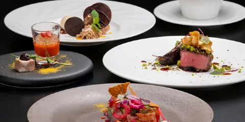 Huransuryourirusieru