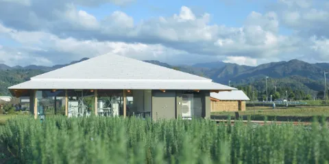 Healthian-wood（ヘルジアンウッド）