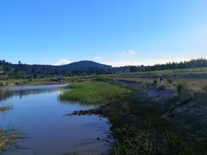 Fireflies Sanctuary Rancho San Pedro