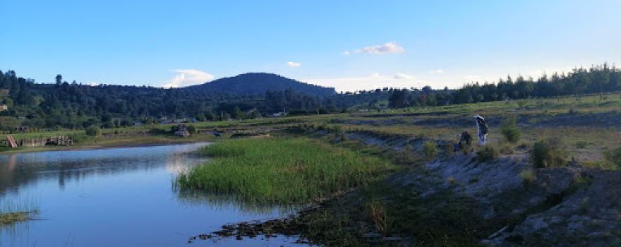 Fireflies Sanctuary Rancho San Pedro