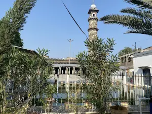 Shahi Jama Masjid