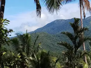 Sanggar APAPUHANG Sangihe