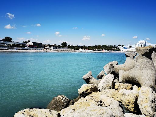 Venus Beach