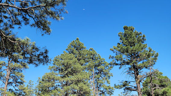 Picture Canyon Trailhead