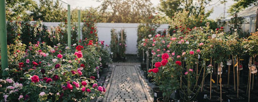 Garden Center "My Garden"