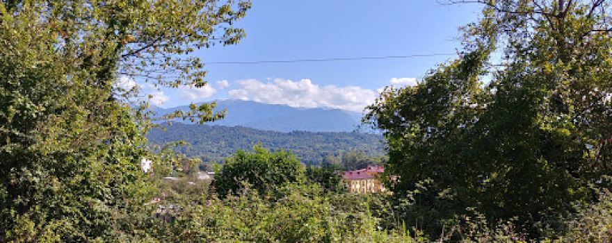 Sochi Vesyoloye