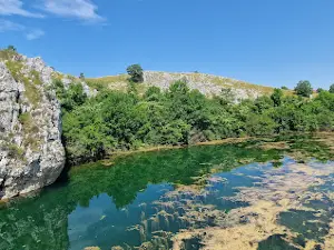 Ovčiji brod