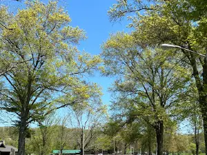 Cedar Lakes Conference Center