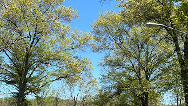 Cedar Lakes Conference Center