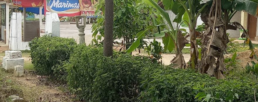 Masjid Baitusholihin Mandalasari