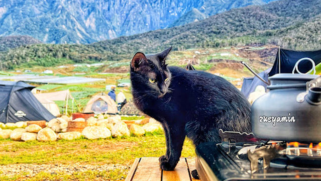 Mentoki Hideout Campsite